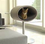 Modern Cat Beds Pictures