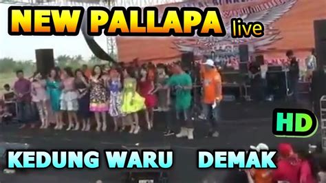 New Pallapa Full Album Special 2017 Live Kedungwaru Demak Youtube