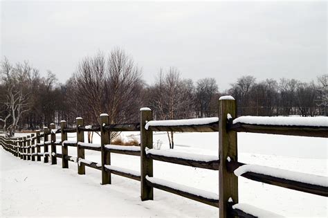 Snowy Fenceline Photograph By Beth Collins Pixels