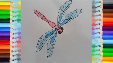 How To Draw A Dragonfly Easy Step By Step Easy Animals To Draw