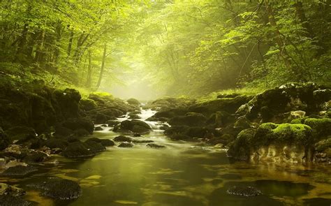 Wallpaper Sunlight Trees Landscape Waterfall Nature