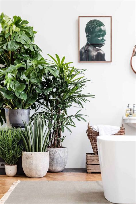 Best 25 Indoor Plant Pots Ideas On Pinterest Indoor Plant Decor Pertaining To Indoor Container