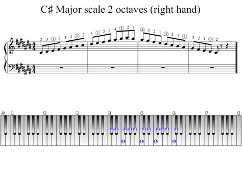 C Sharp Major Scale Applied Guitar Theory