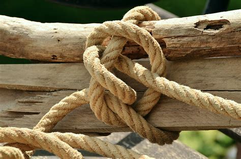 Royalty Free Photo Brown Rope Tied On A Brown Wooden Trunk Pickpik