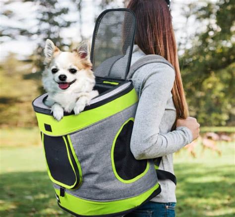 Top 34 Best Dog Backpack For Hiking 2022 My Trail Co
