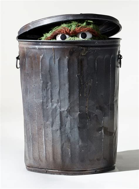 Oscar The Grouch In His Garbage Can Memes Imgflip