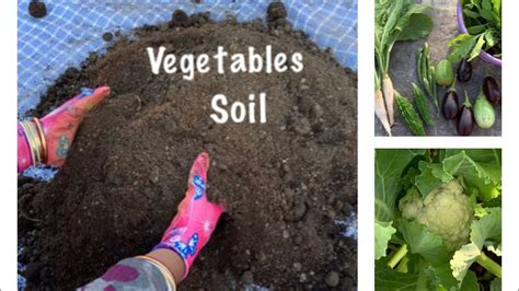 How To Prepare Soil For Planting Vegetables Youtube