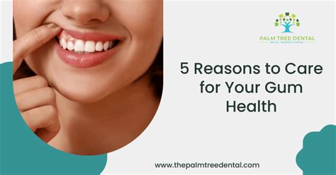5 Reasons To Care For Your Gum Health Palm Tree Dental