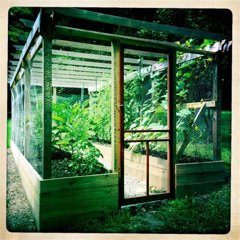 My Husband Built This Amazing Enclosed Garden With Raised Beds By