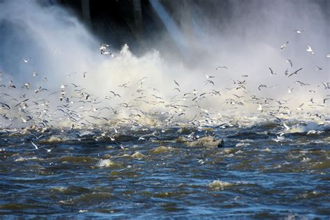 Conowingo Dam Conowingo Fisherman S Park Eric Haas Flickr