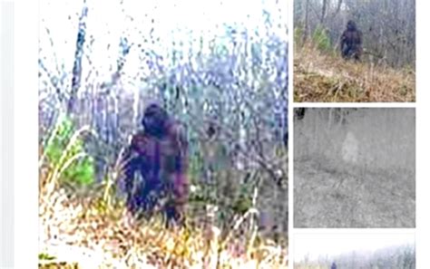 The North Carolina Bigfoot Photo Solved