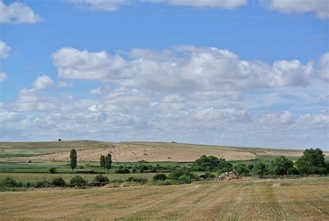 Filellanuras En La Provincia De Ávila Wikimedia Commons