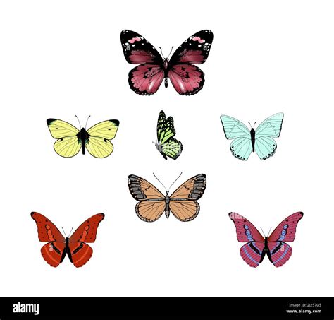 Set Of Colorful Butterflies Vector Illustration Stock Vector Image