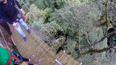 El primer tour del canopy del mundo. The Original Canopy Tour Monteverde - Camino Verde Tours ...