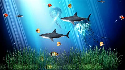 22 Aquarium Backgrounds Wallpapers Images Pictures Design Trends