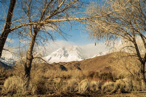 Winter Trees Hills Snowy Mountain Shrouded In Clouds Stock Image