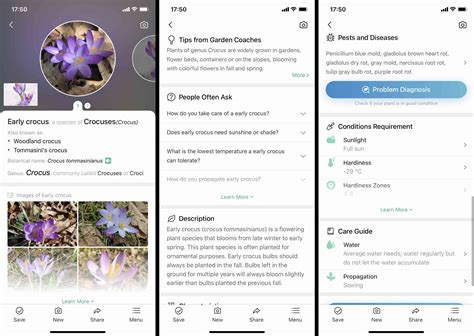 It counts on its users to create a botanical database and the user is the last word on whether or not the plant listed is a match. The 8 Best Plant Identification Apps of 2021