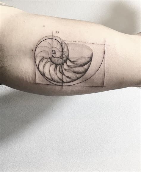 Shell Tattoos Elbow Tattoos Sleeve Tattoos Above Elbow Tattoo Tatouage Fibonacci Fibonacci