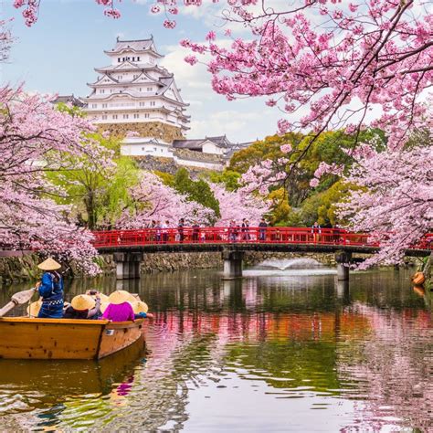 10 Tips For A Visit During The Cherry Blossom Season In Japan Travelawaits