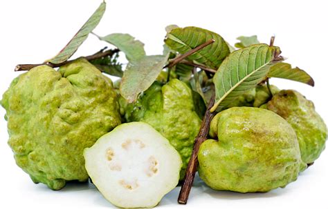 Thai Guavas Information Recipes And Facts