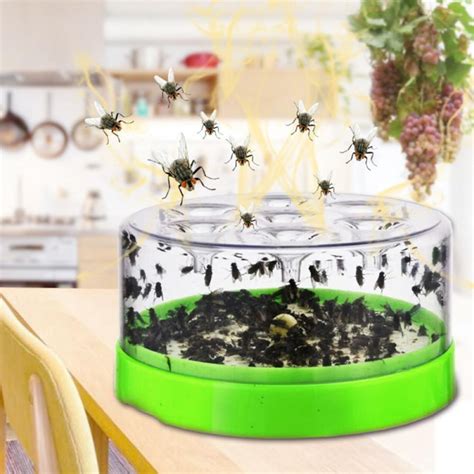 Gnat Killer For Indoor Fungus Gnat Trap For Kitchenhome Fruit Fly