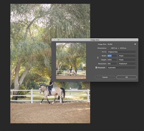 How To Increase The Resolution Of An Image In Photoshop