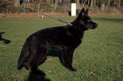 Informationen, details, straßenkarte und bilder: home - vom-haus-lohe.de