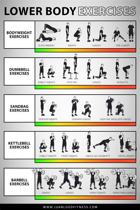 Lower Body Exercises In 2023 Fitness Body Lower Body Workout Barbell Workout