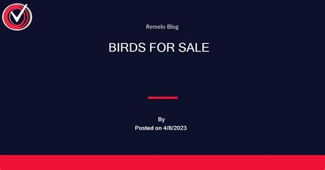 Birds For Sale Guide To Buying Birds Thebudgieblog