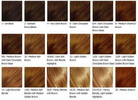 See more ideas about hair color swatches, hair color, hair color chart. the Medium Chestnut | Brown hair color chart, Honey brown ...