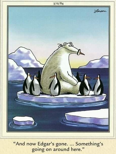 Image Result For The Far Side Cartoons Funny Cartoons Drawings Far