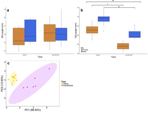 sex specific box plots of morphometric measurements of a bill length download scientific