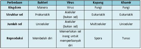 Jelaskan Perbedaan Antara Bakteri Virus Kapang D
