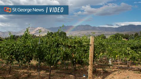 ‘its Never Been Done In Utah Wine Competition Brings Winemakers From