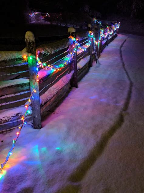 I Love The Way Christmas Lights Glow In The Snow Christmas
