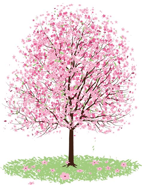 Cartoon Cherry Blossom Tree Clipart Transparent Cartoon Free Cliparts