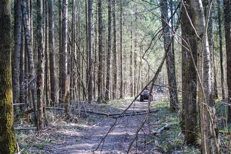 Oneida County Atvutv Trails To Close For The Season Wxpr
