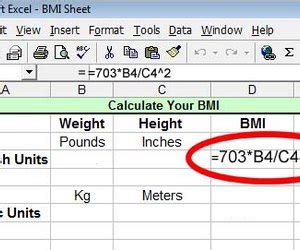 There are several similar formulas in use, so you may hear slightly different estimates from your doctor or exercise coach. How to Calculate BMI in Excel | Techwalla.com