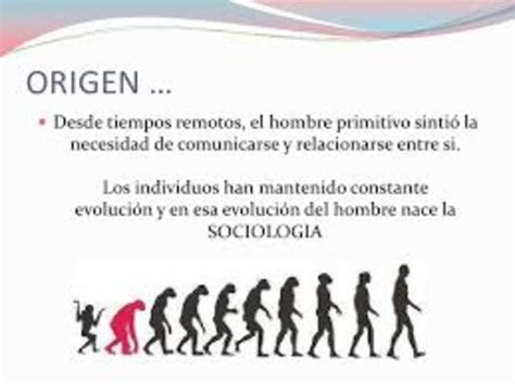Aspectos Importantes De La Historia De La Sociologia Timeline