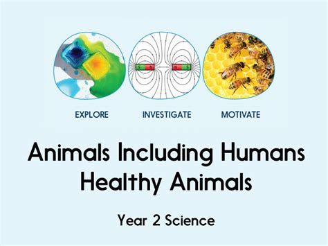 Animals Including Humans Year 4