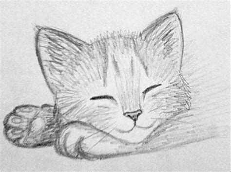 Cómo Dibujar Un Gato A Realista Draw A Realistic Cat With Pencil Dibujos De Colorear