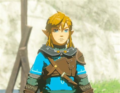 Link With The Outfit In Botw2 Legend Of Zelda Legend Of Zelda Breath