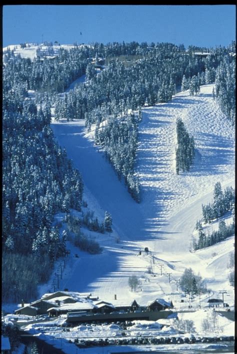 Skier Hits Tree, Dies at Deer Valley | First Tracks!! Online Ski Magazine