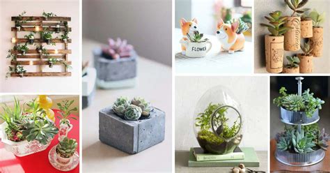 28 Creative Indoor Succulent Planter Ideas To Brighten Your Space