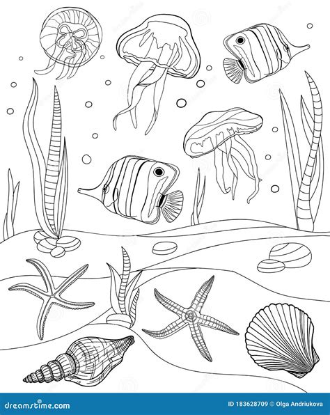 Coloring Pages Tropical Fish Seashell Jellyfish And Starfish Vector