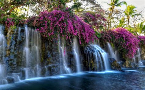 Download 2560x1600 Waterfall Pink Flowers Pond Rocks