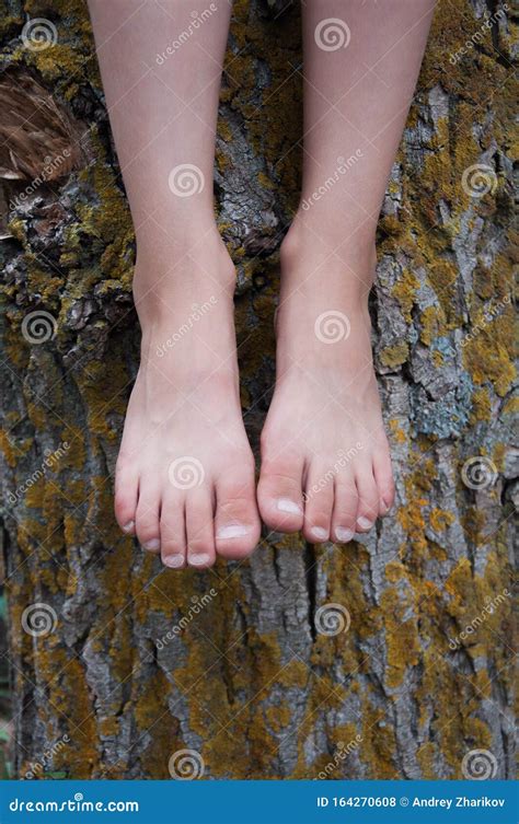 Legs Of A Young Girl Sitting On A Big Stump In The Stock Photo Image
