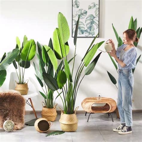 How i insert foam into these 3 pots. Artificial Banana Traveller Tree Leaf Nordic Leaf Pokok ...