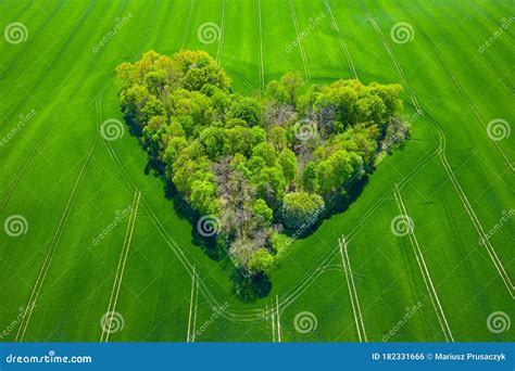 Aerial View Of Forest Heart In The Green Fields Natural Love Valentine