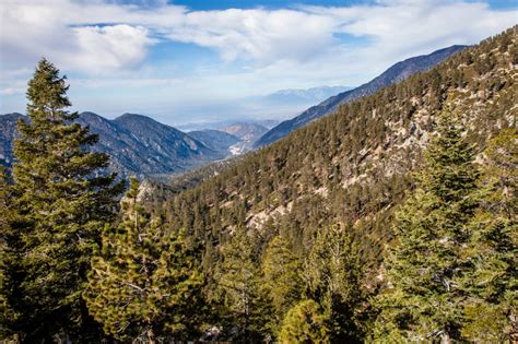 Mount San Gorgonio Via The Vivian Creek Trail Calitrails